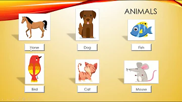 ¿Cuál es el plural de animal?