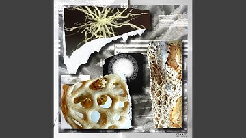 Extracellular Enzymes (Original Mix)