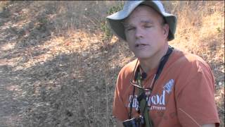 Nature Journaling