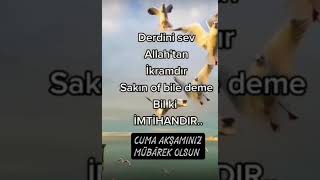 Cuma Akşamınız Mübarek Olsun Whatsapp Durum Video Instagram Anlamlı Sözler - Dini Kısa Videolar