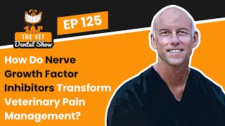 Ep 125- How Do Nerve Growth Factor Inhibitors Transform Veterinary Pain Management