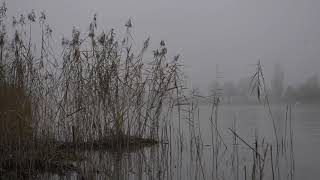 Kapelle Zwei Gong Meditation