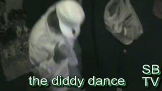 diddy bop dance ( do the diddy bop)
