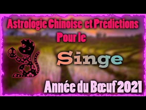 Vidéo: Horoscope Oriental : Ce Qui Attend Ceux Qui Sont Nés L'année Du Singe