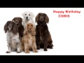Chris - Dogs Perros - Happy Birthday