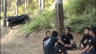 Banteng Alas