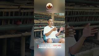 Belajar Berternak Ayam Elba dengan Trio Farm Purwokerto #ayamelba
