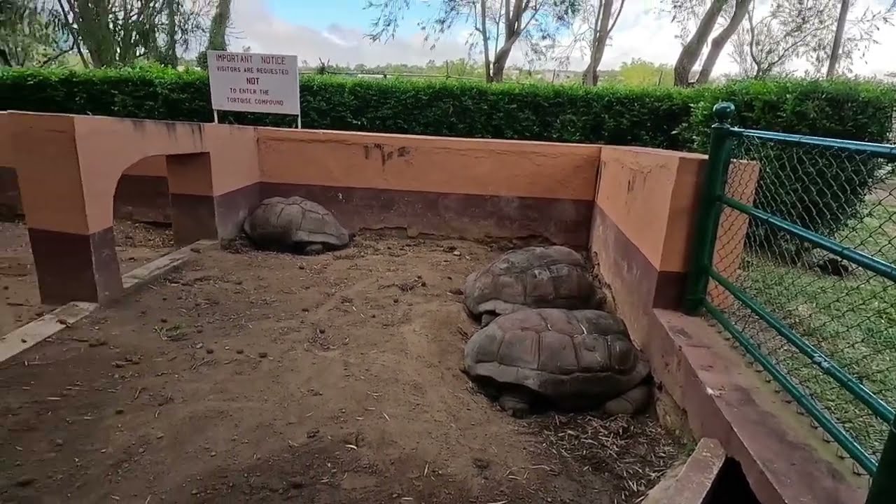 From Rose hill to Beau bassin, walking tour 🇲🇺