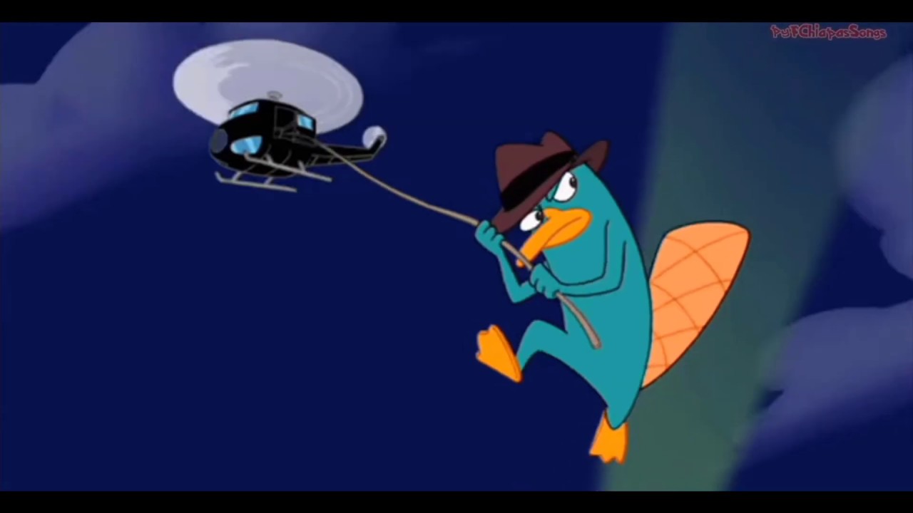 perry the platypus meme - YouTube
