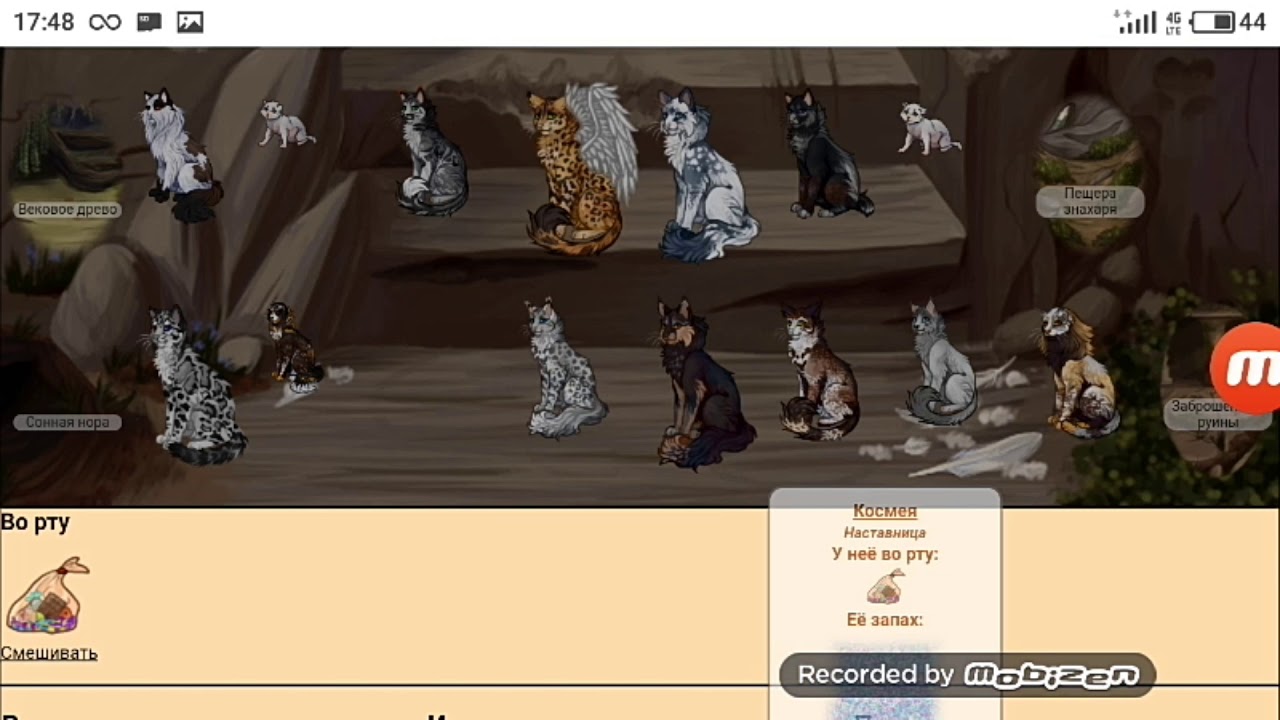 Карта грозового племени кэтвар