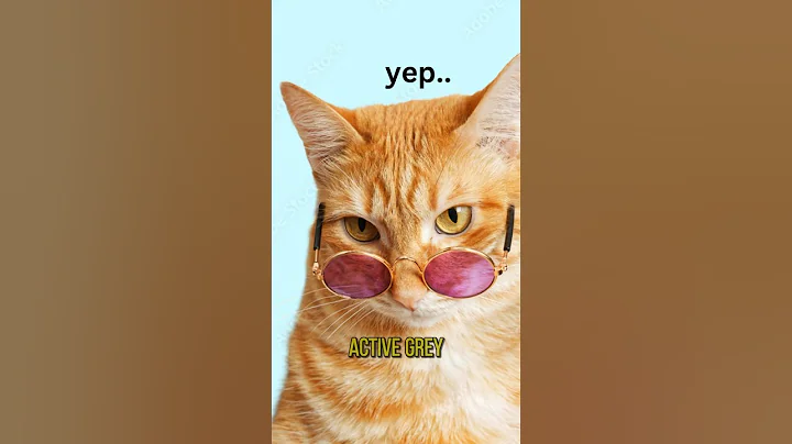 Video 4784601: funny pets animals dog, cat colors