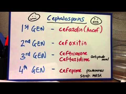 cephalosporins