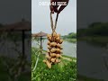 Sound of Rain! 🌦️ Chacha Seed Rattle ASMR SYL10003 #shorts