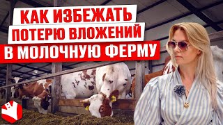 Как избежать потерю вложений в молочную ферму | Молочное животноводство