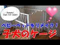 【トイプードル】子犬のケージ♪ベビーベッドをリメイクしたよ！パフィは気に入ってくれるかな?