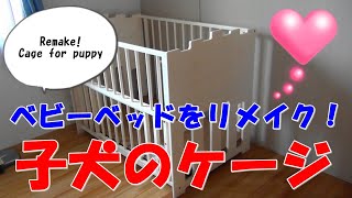 【トイプードル】子犬のケージ♪ベビーベッドをリメイクしたよ！パフィは気に入ってくれるかな?