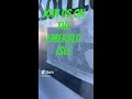 Fv emerald isle livestream reveal
