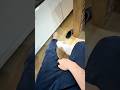 盛り豚ウーロンのマイブーム
