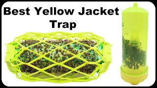 Quickly Catch 100s of Wasps - Testing Out 4 Trap Side by Side. Mousetrap Monday
