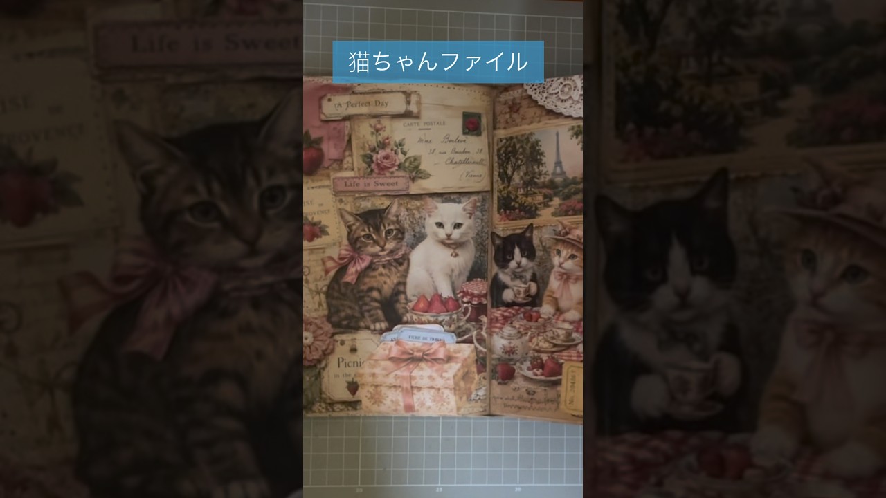 猫ちゃんいっぱいのおすそ分けファイル☆ - YouTube