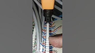 Punch down the patch pannel cat 6 cablePunch tool
