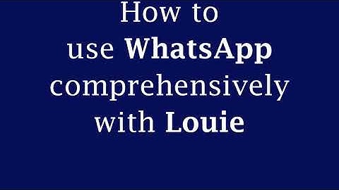 Louie Voice Control: How to use WhatsApp comprehensively with Louie