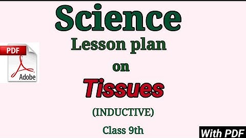 Science lesson plan  | B.Ed| macro lesson plan | Biology lesson plan | lesson plan on tissue|D.el.ed