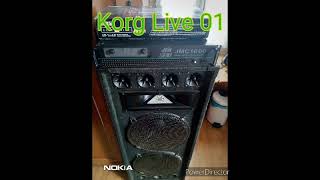 Bassguard - Korg Live 01