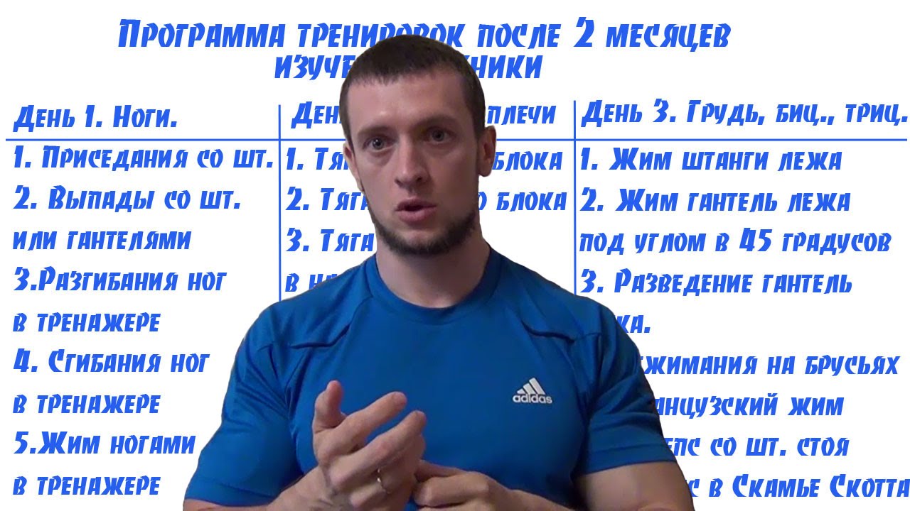 расписанная программа тренировки дома расписанная программа тренировки дома