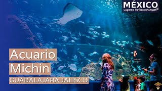 Michin Aquarium in Guadalajara in 4K | One of the most important and modern aquariums in Mexico.