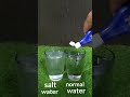  ujala  salt water simple science experiment easy science experiment shorts trending