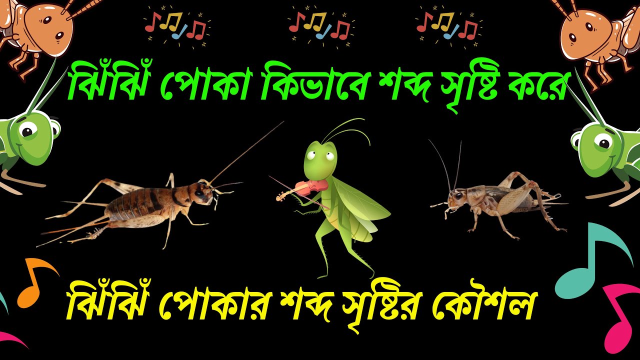 Xuddi shunday gulning nomi nima? Olga Sumskaya porno video