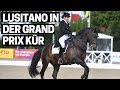 Lusitano in der Grand Prix Kür ✨ | Piaffe und Passage in Perfektion | Maimarkt Turnier Mannheim