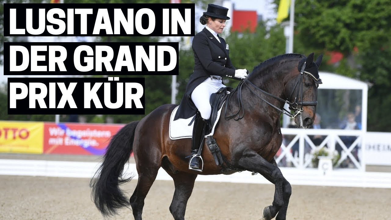 Lusitano in der Grand Prix Kür ✨ | Piaffe und Passage in Perfektion | Maimarkt Turnier Mannheim