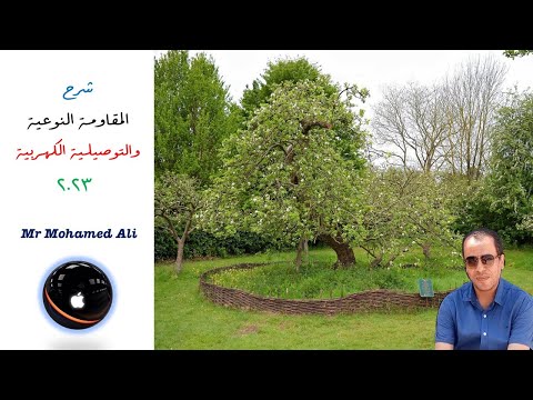 المقاومه النوعيه