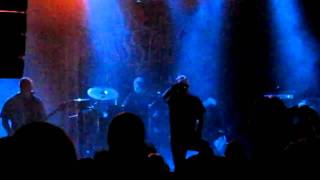 Torture killer - Multiple Counts of Murder (Live)