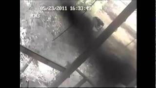 BLACK MIST SIDE PORCH