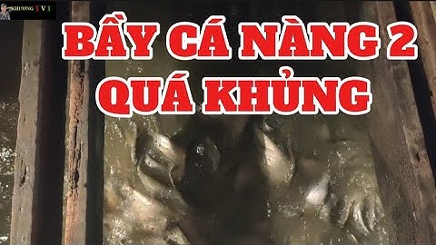 PHÁT HIỆN BẦY CÁ NÀNG 2 KHỦNG TẠI BÈ CHÚ 7