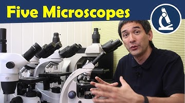 🔬 Microscope comparison