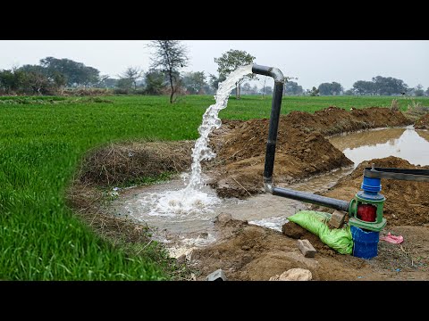 ভিডিও: জল কূপের সরঞ্জাম: সরঞ্জাম, ইনস্টলেশন