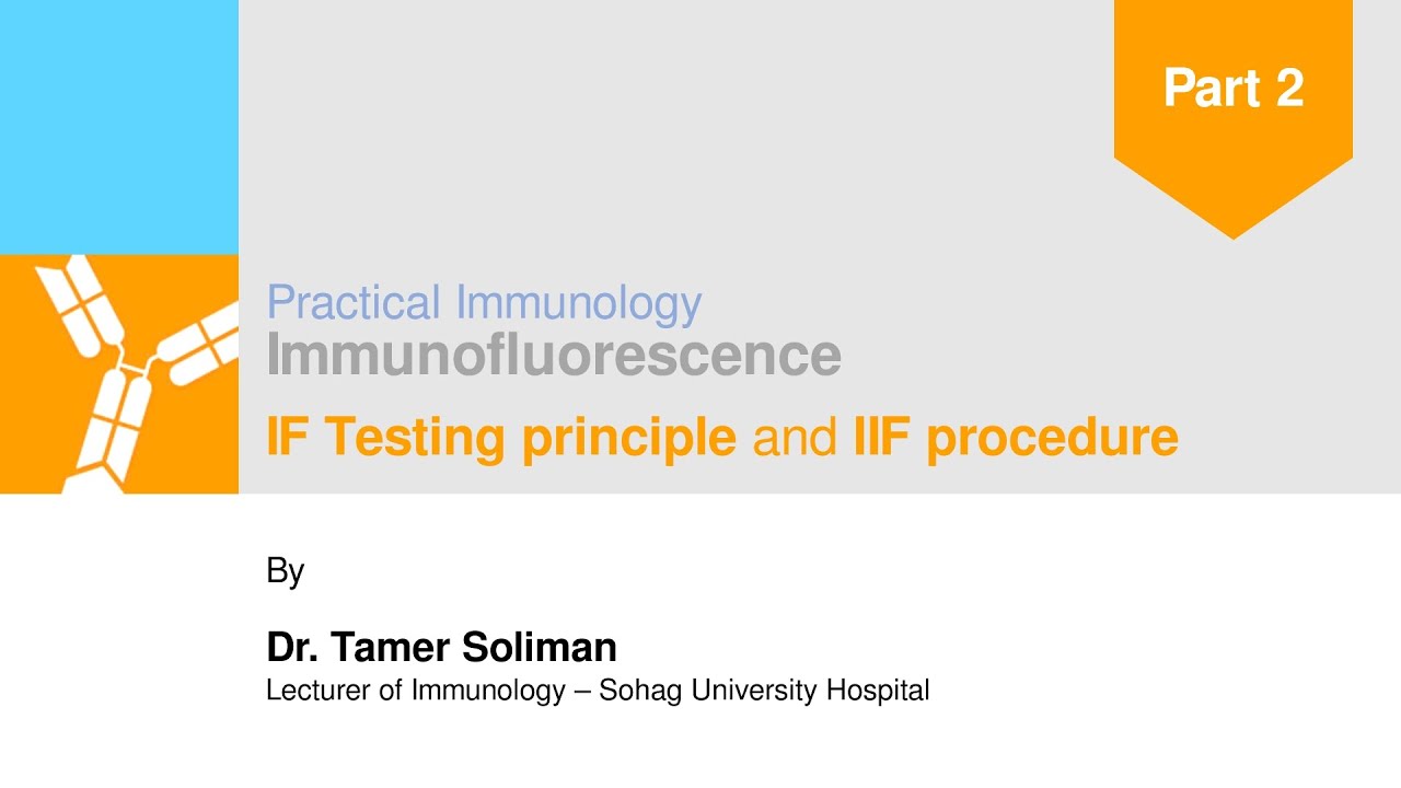 IIF - Part 2: Immunofluorescence Principles and Procedures | Dr. Tamer Soliman