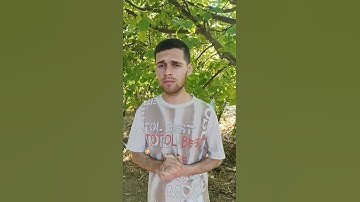 تلاوة قصيرة عطرة بصوت القارئ محمد زاهر