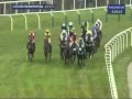 2012 betfred cheltenham gold cup chase  synchronised  ap mccoy