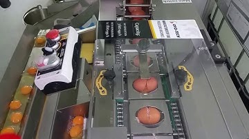 Egg breaker RZ-1 -  with the possibility of separating egg white from egg yolk