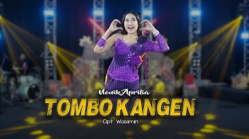 TOMBO KANGEN - NONIK APRILIA (LIVE MUSIK VIDEO) SN Campursari