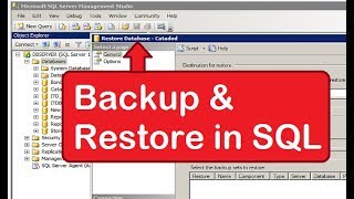 how to backup and restore database in SQL server 2008 step by step