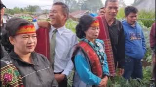 adat saur matua Op. Hicca doli 10 januari 2023 di desa sianjur siborong borong