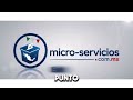Estructura Politica - micro-servicios.com.mx
