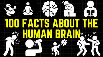 100 Facts About The Human Brain