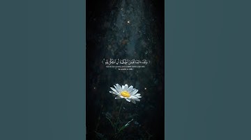 ارح سمعك و قلبك 🤍 قرآن كريم 🤍 اكتب شيئا تؤجر عليه 🤍
